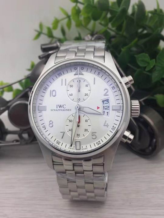 IWC watch man-493